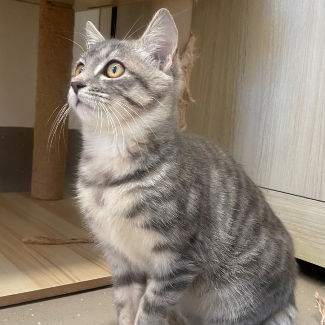 Photo of C1476 Ishka