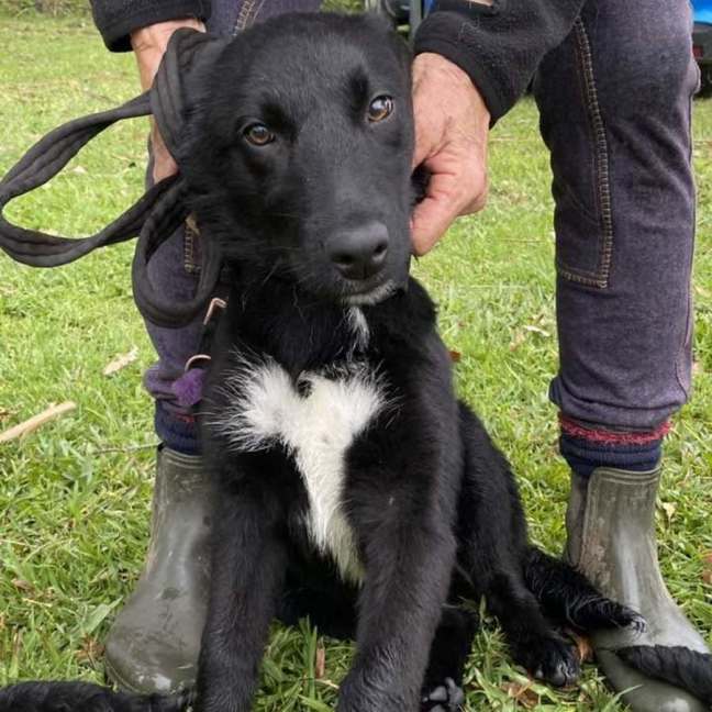 Photo of Xander
