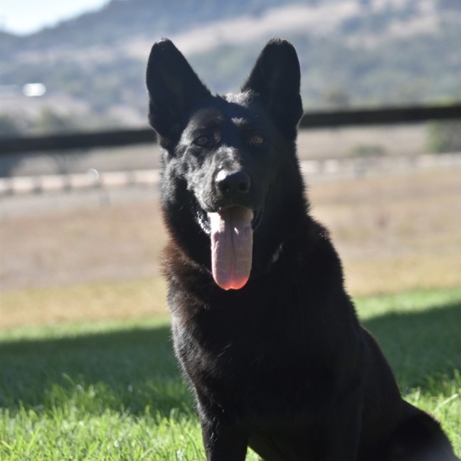 Photo of Storm