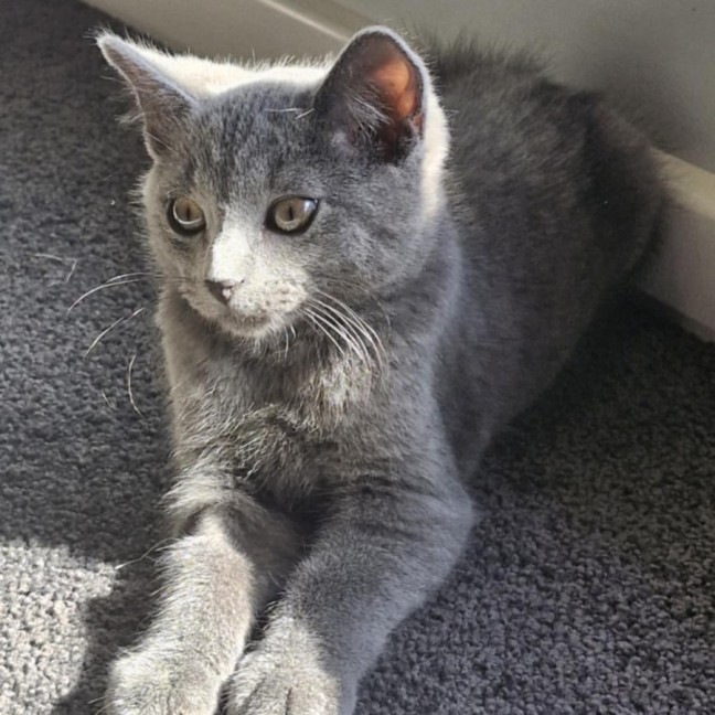 Photo of Stormy 🧢⚡️
