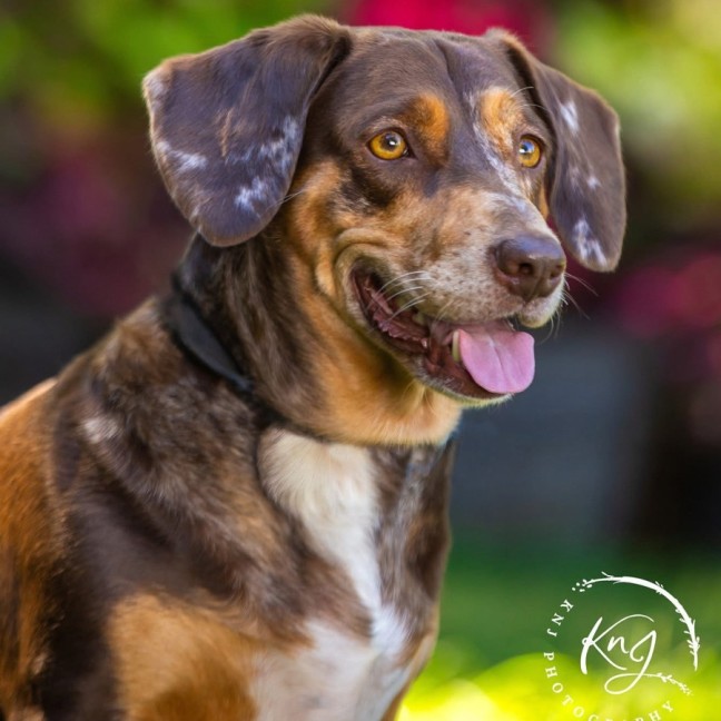 Photo of Pebbles & Mellow