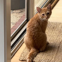 Photo of Jasper 