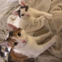 Photo of Finlay & Isla