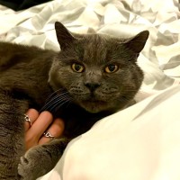Photo of Patapoof