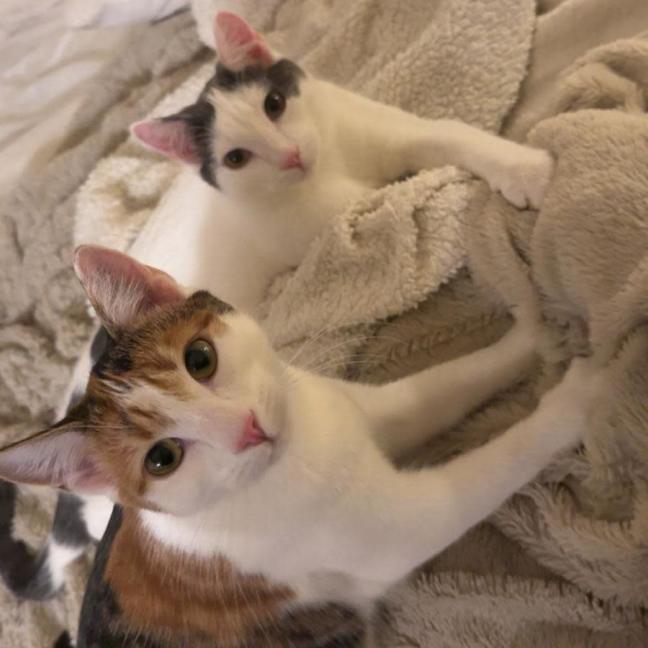 Photo of Finlay & Isla