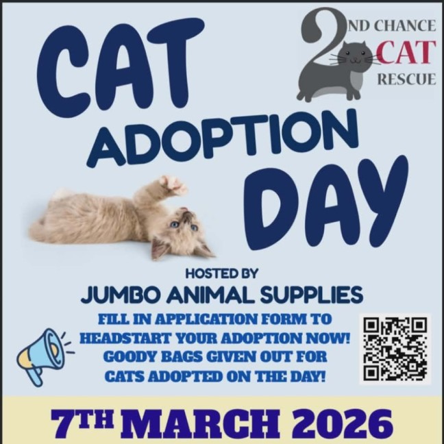 Photo of Roxy ** 2nd Chance Cat Rescue **