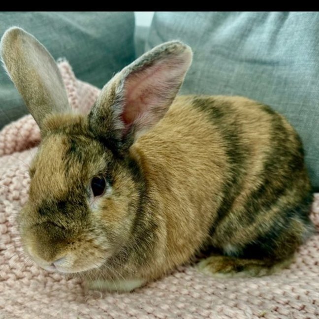 Photo of Sally