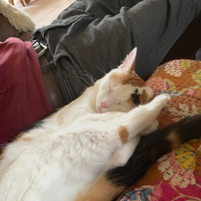 Photo of Kiki