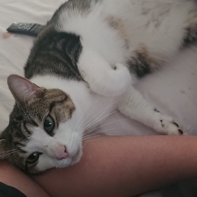 Photo of Baby