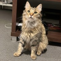 Photo of Barney & Fred