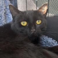 Photo of 🐭 Amara 🐭