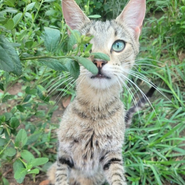 Photo of Midori 💚