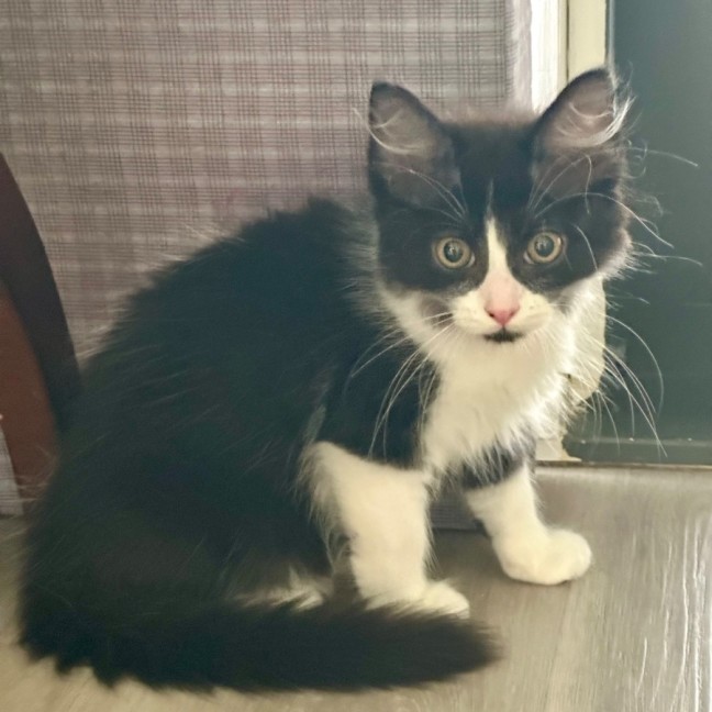 Photo of Hudson