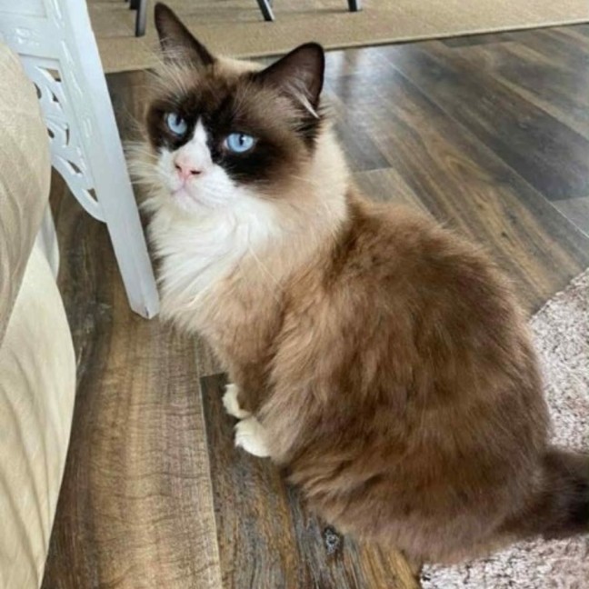 Photo of Coco 