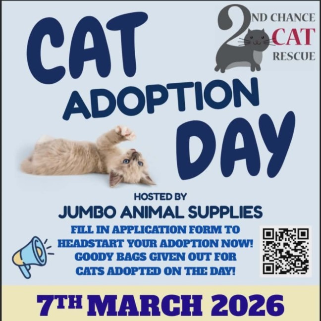 Photo of May ** 2nd Chance Cat Rescue**