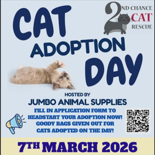 Photo of Robin **2nd Chance Cat Rescue**