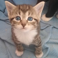 Photo of Betty