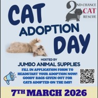 Photo of Whitney ** 2nd Chance Cat Rescue **