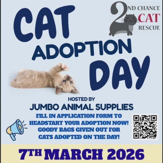 Photo of Sevika **2nd Chance Cat Rescue**