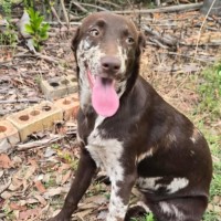 Photo of Elsa