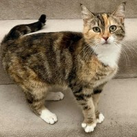 Photo of Indi 