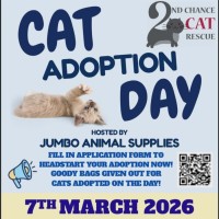 Photo of Cadbury ** 2nd Chance Cat Rescue**