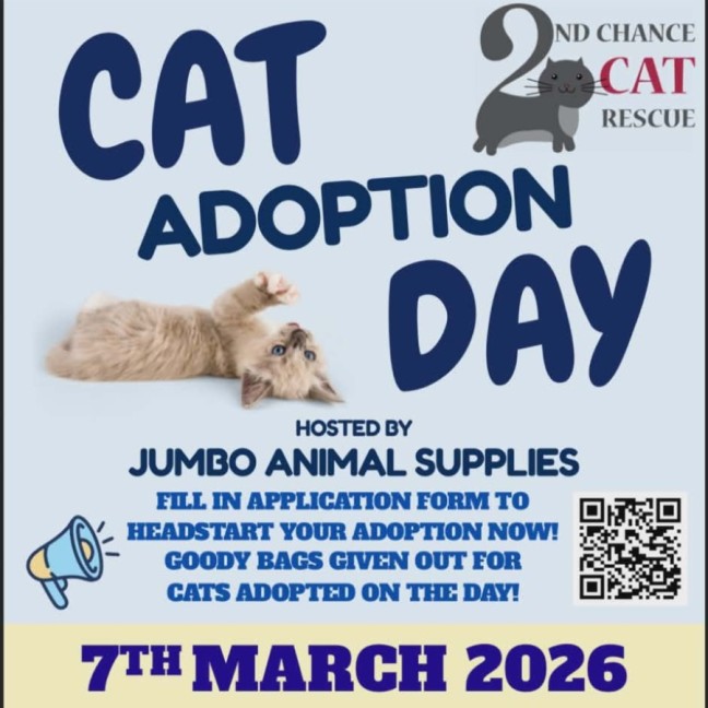 Photo of June**2nd Chane Cat Rescue**