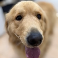 Photo of Ben