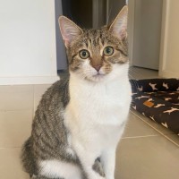 Photo of Holly
