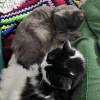 Photo of 🩵Todo & 🩷Georgia