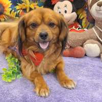 Photo of Max