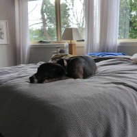 Photo of Skipbo