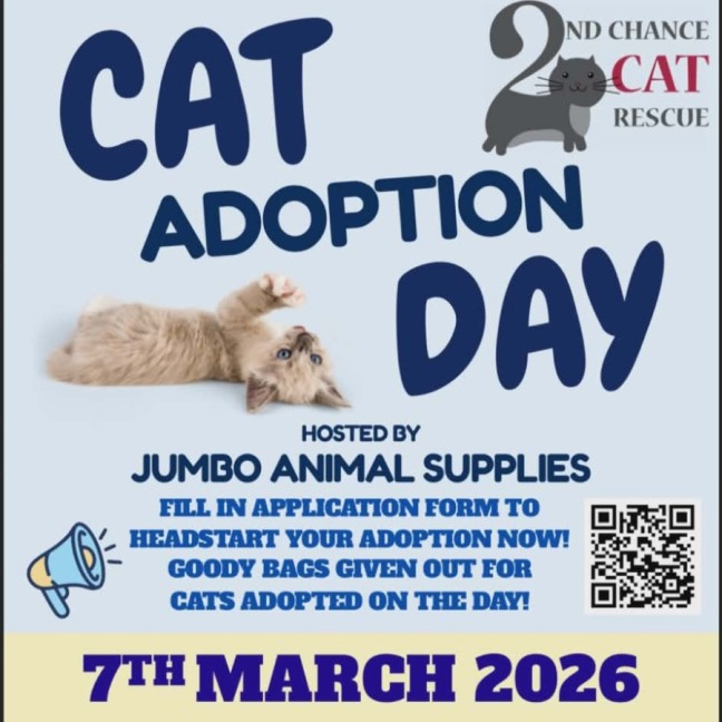 Photo of Odin **2nd Chance Cat Rescue **