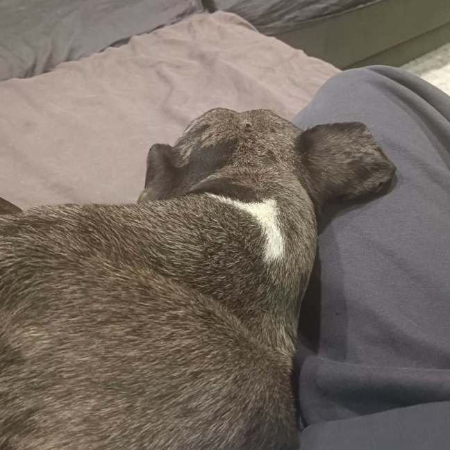 Photo of Freya