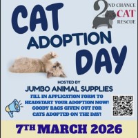 Photo of Gothita ** 2nd Chance Cat Rescue **