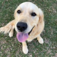 Photo of Jax