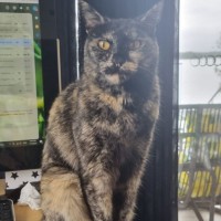 Photo of Lady Pru Pru