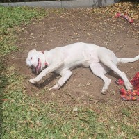 Photo of Debbie