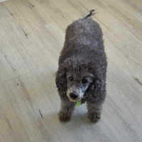 Photo of Saphoura And Nelson