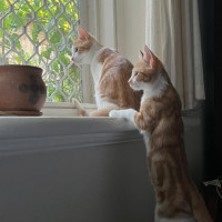 Photo of Roxy & Eggsy