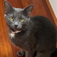 Photo of Mia 🌺🐾🌸