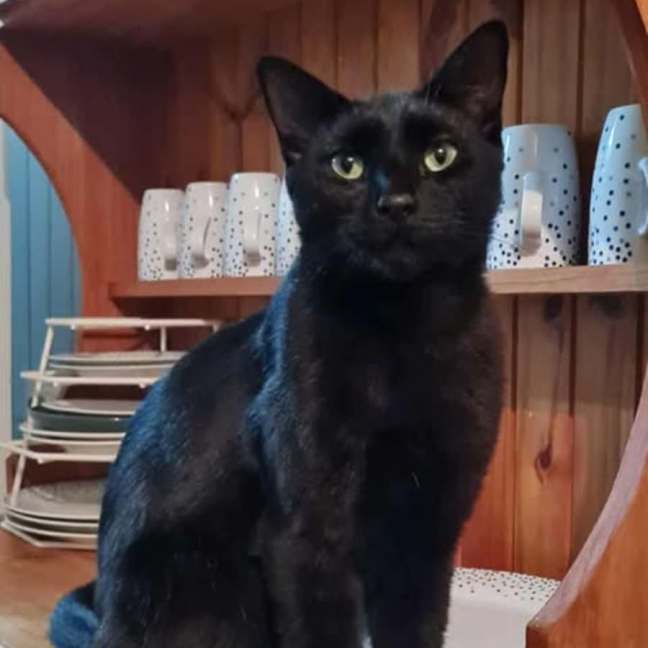Photo of Clank