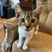 Photo of Jake