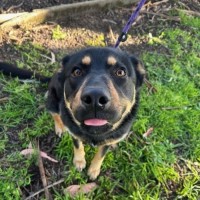 Photo of Hazel
