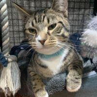 Photo of Sutton   Best Buds With Kevin   Check His Profile