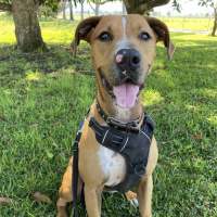 Photo of Princess Jay