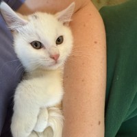 Photo of Evacuation Plan