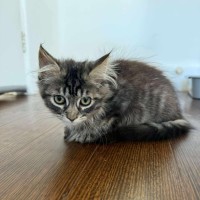 Photo of Phoenix 🥹🤗