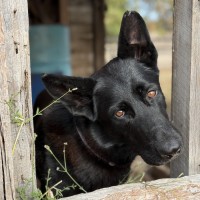 Photo of Storm