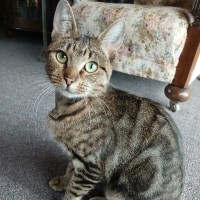 Photo of Maya
